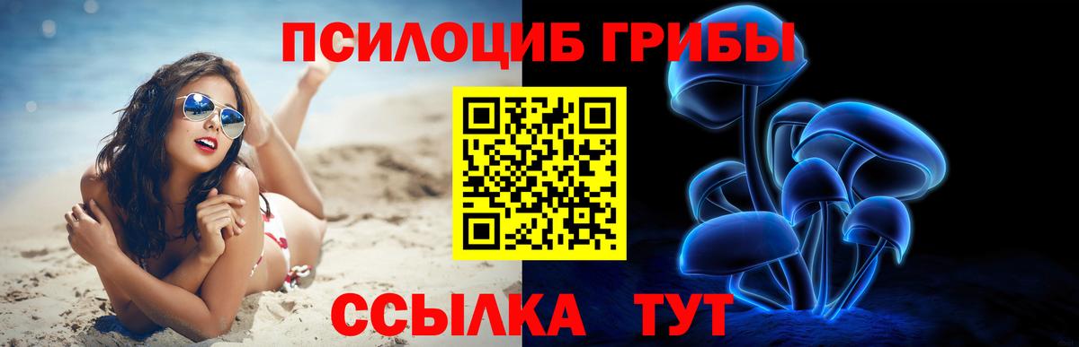 Галлюциногенные грибы Magic Shrooms  Вход с VPN  продажа наркотиков  Тула 
